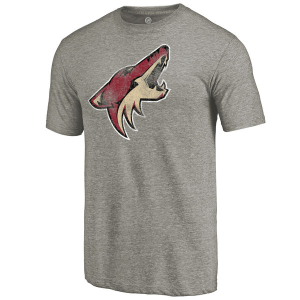 Arizona Coyotes Distressed Team Logo Tri Blend T-Shirt Ash