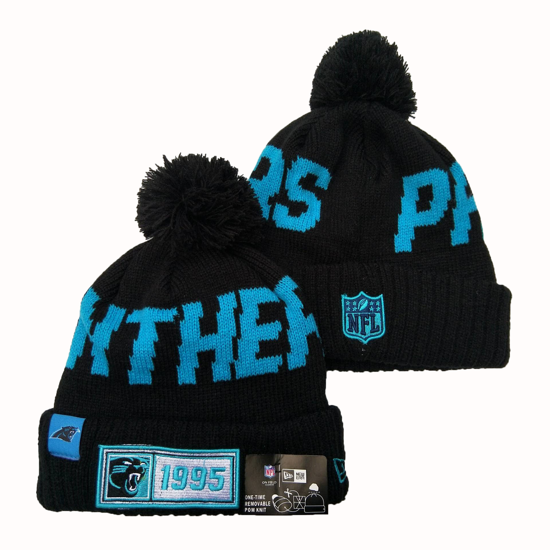 Panthers Team Logo Black 100th Season Pom Knit Hat YD