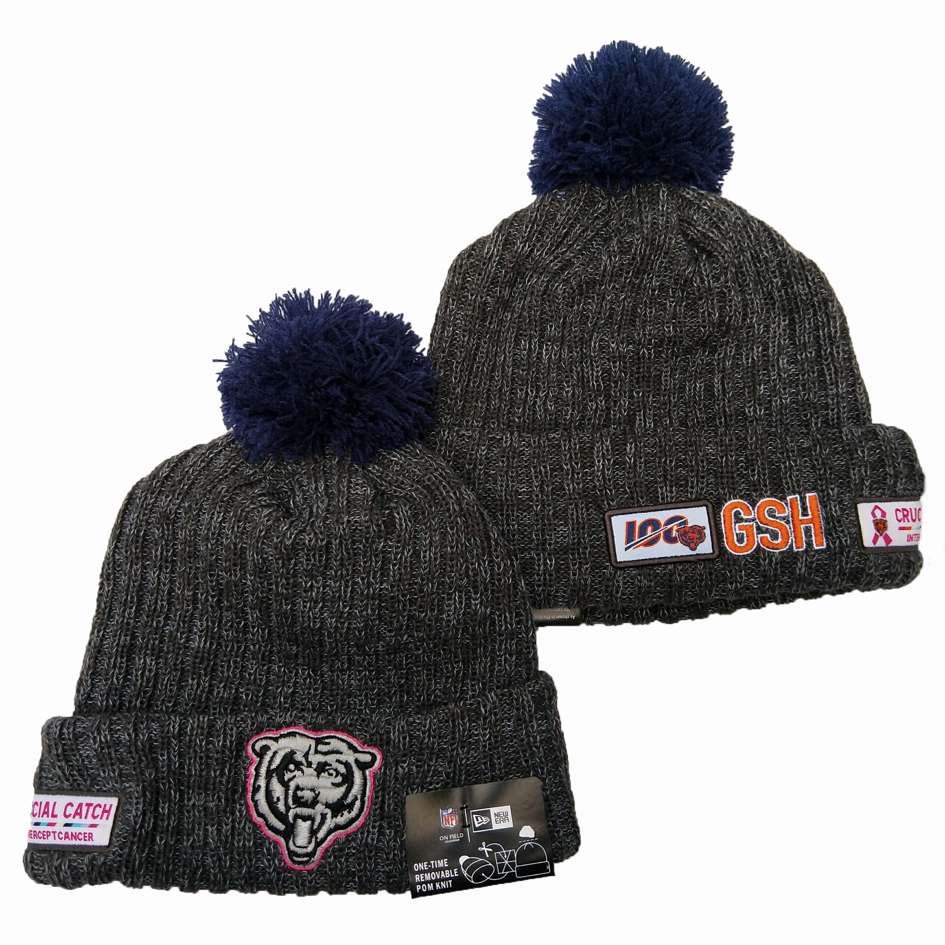 Bears Team Logo Gray 100th Season Pom Knit Hat YD