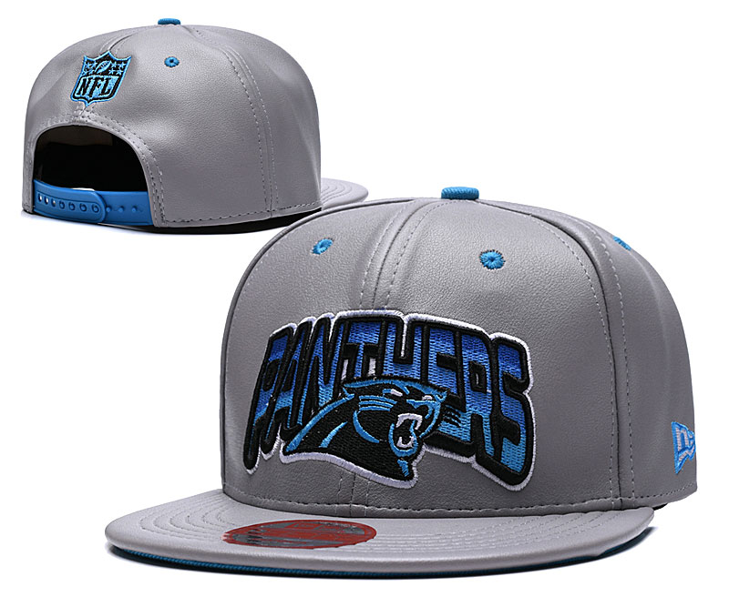 Panthers Team Logo All Gray Black Adjustable Hat TX