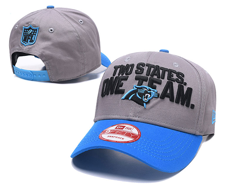 Panthers Team Logo Gray Blue Adjustable Hat GS