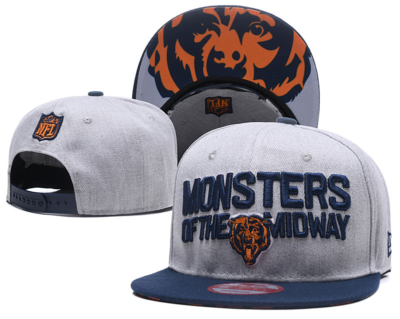 Bears Team Logo Gray Adjustable Hat TX