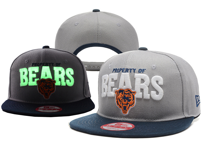 Bears Team Logo Gray Adjustable Luminous Hat YD