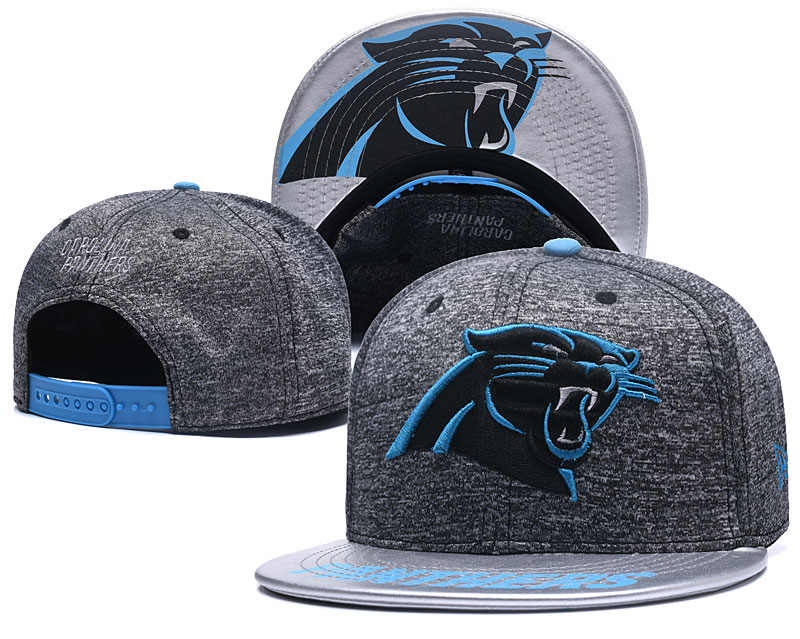 Panthers Team Logo Gray Adjustable Hat TX - Click Image to Close