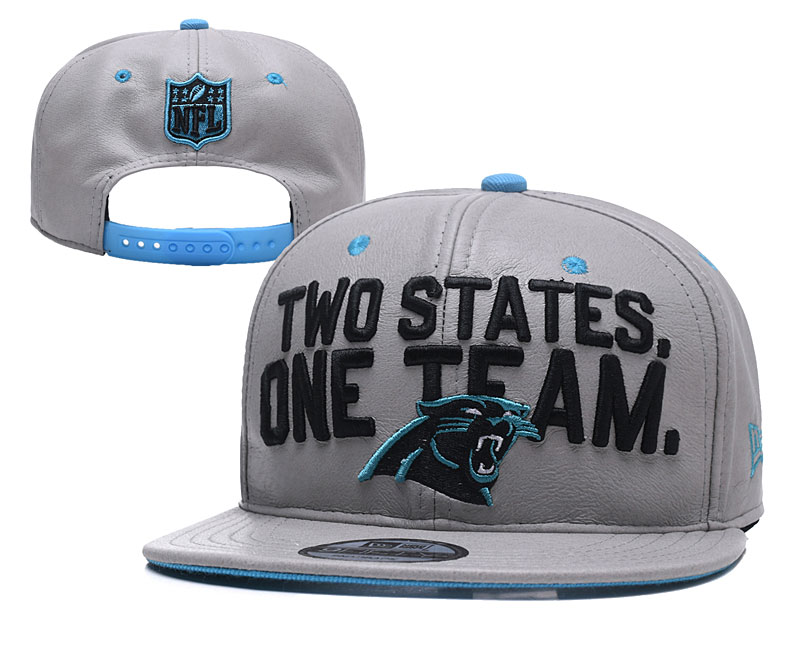 Panthers Team Logo Gray Leather Adjustable Hat YD