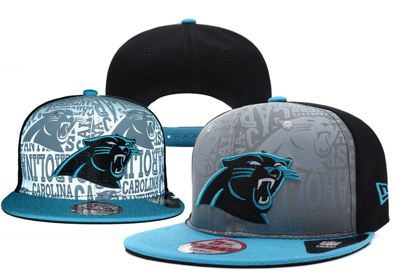 Panthers Team Logo Adjustable Hat YD