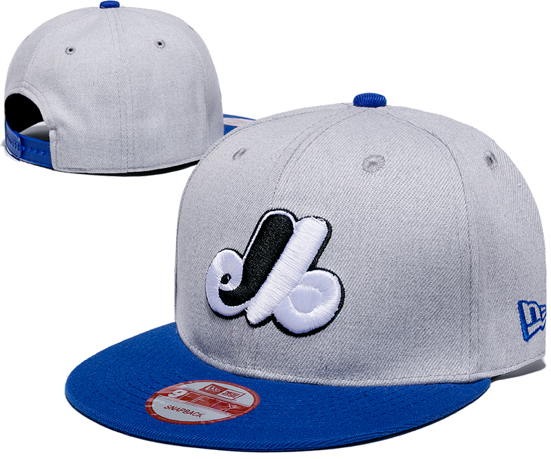 Expos Team Logo Gray Adjustable Hat LH
