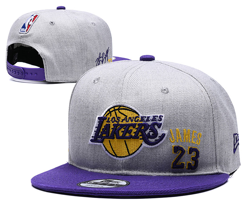 Lakers Team Logo 23 Gray Purple Adjustable Hat YD