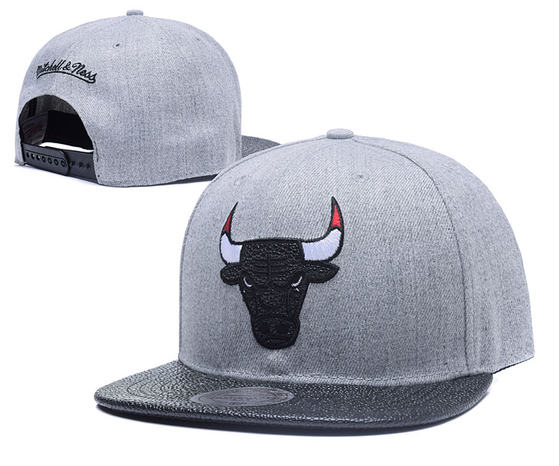 Bulls Fresh Logo All Gray Red Mitchell & Ness Adjustable Hat TX