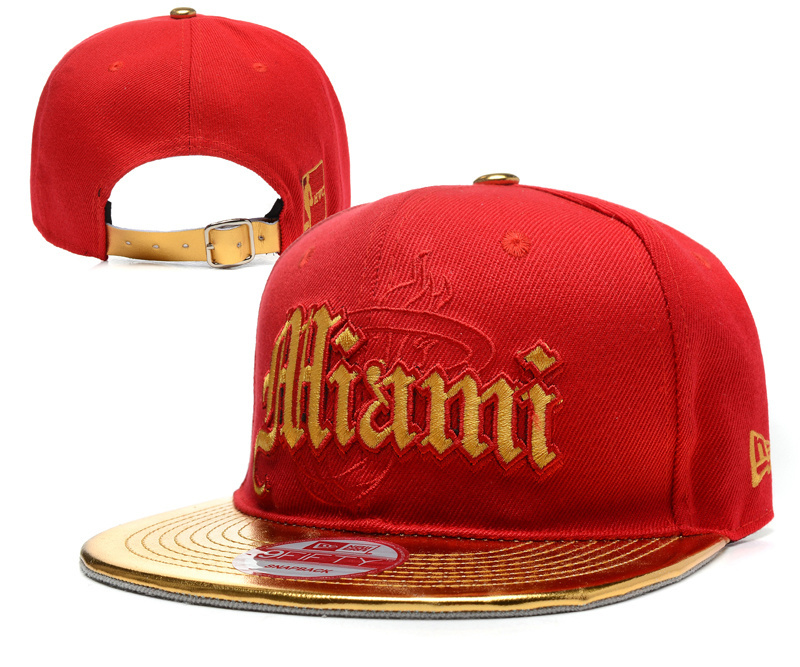 Heat Team Logo Red Golden Adjustable Hat YD