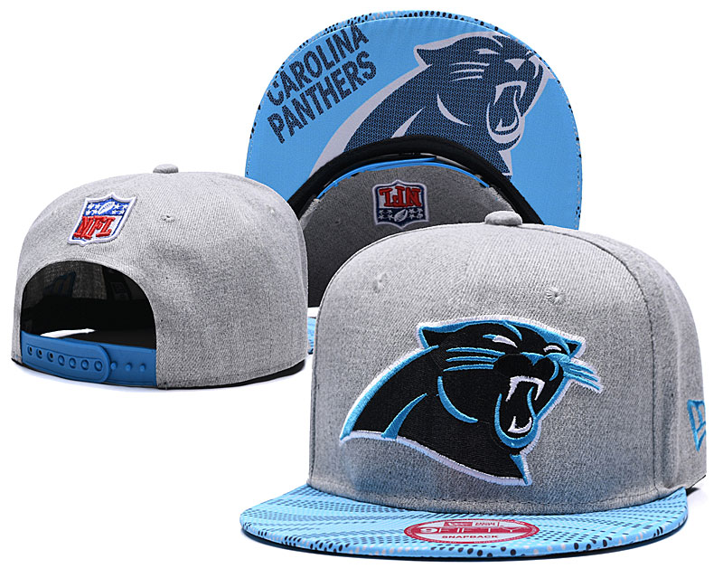 Panthers Team Logo Gray Adjustable Hat TX