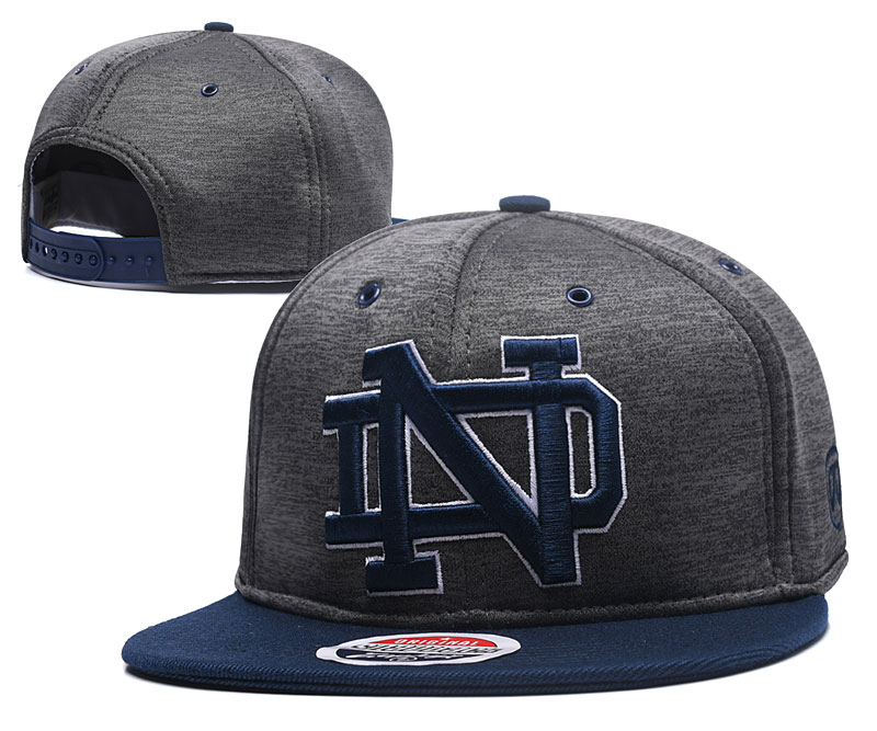 Notre Dame Fighting Irish Team Logo Gray Navy Adjustable Hat GS