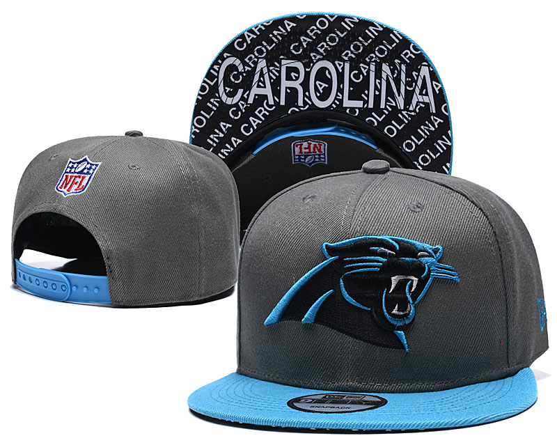 Panthers Team Logo Gray Blue Adjustable Hat TX
