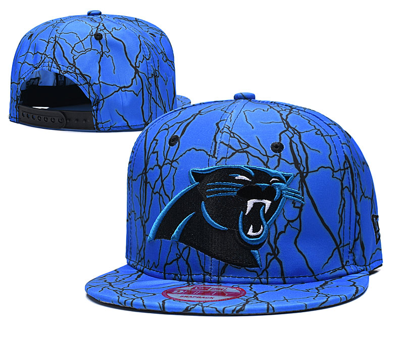 Panthers Team Logo Blue Adjustable Hat TX