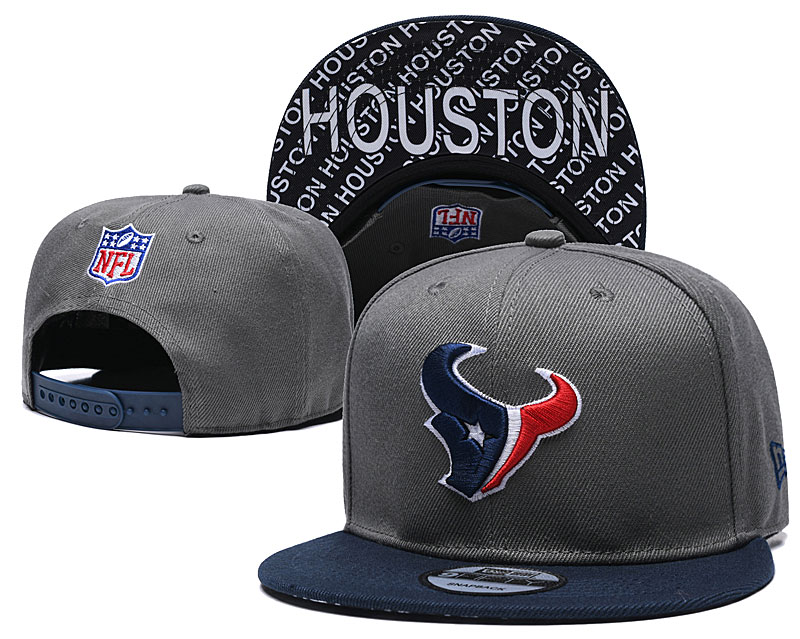 Texans Team Logo Gray Navy Adjustable Hat TX