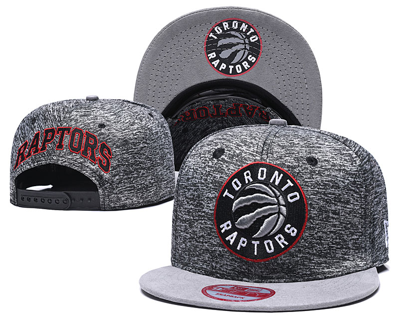 Raptors Team Logo Gray Adjustable Hat TX