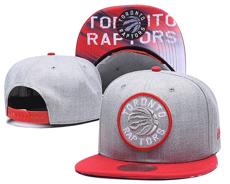 Raptors Team Logo Gray Adjustable Hat LH
