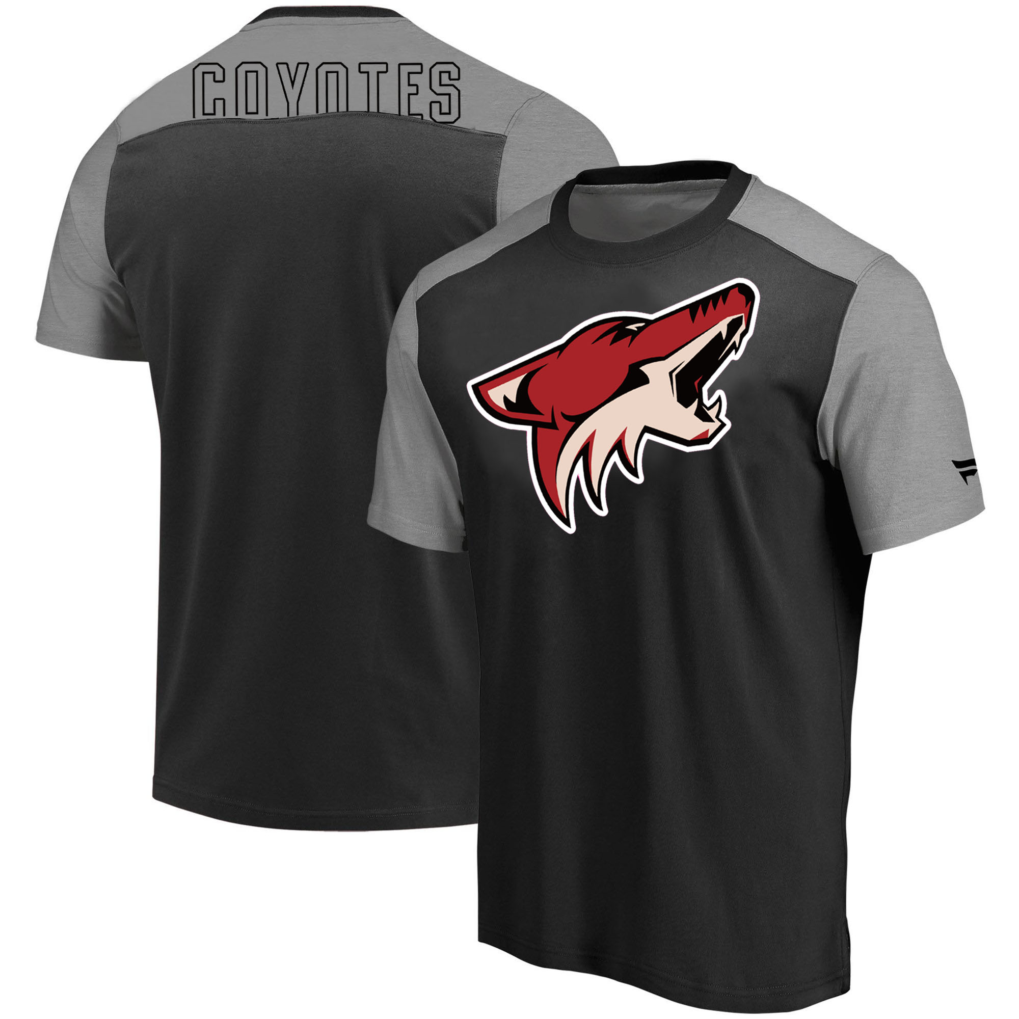 Arizona Coyotes Fanatics Branded Iconic Blocked T-Shirt Black Heathered Gray