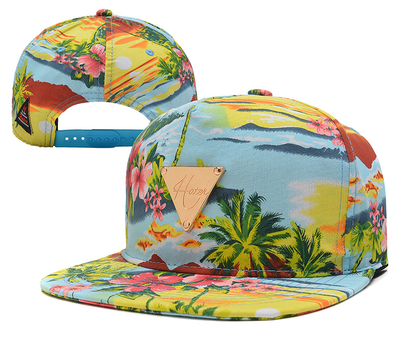 Hater Fashion Snapback Cap YD6