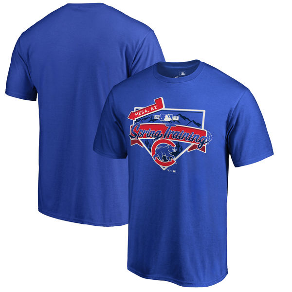 Men's Chicago Cubs Fanatics Branded Blue 2017 MLB Spring Training Team Logo Big & Tall T-Shirt