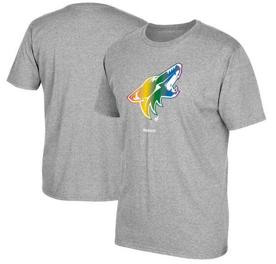 Arizona Coyotes Gray Reebok Rainbow Pride Men's Short Sleeve T-Shirt
