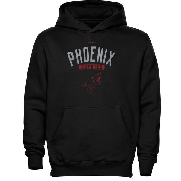 Phoenix Coyotes Black Team Logo Men's Pullover Hoodie07