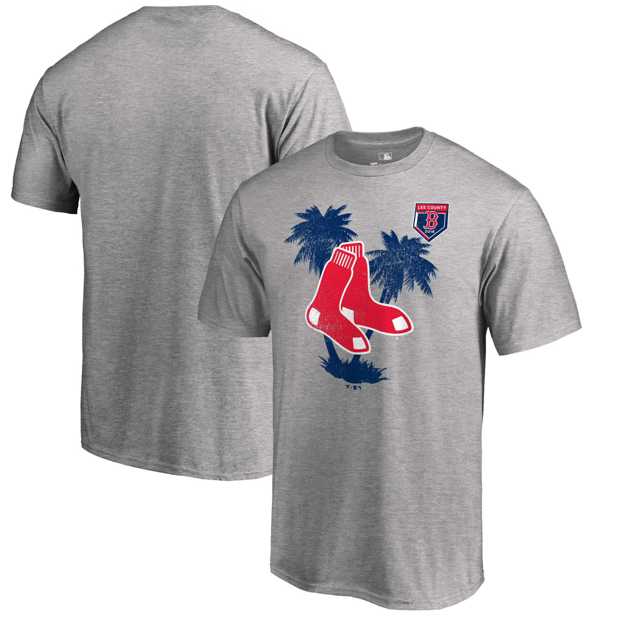 Boston Red Sox Fanatics Branded 2018 MLB Spring Training Vintage T Shirt Heather Gray