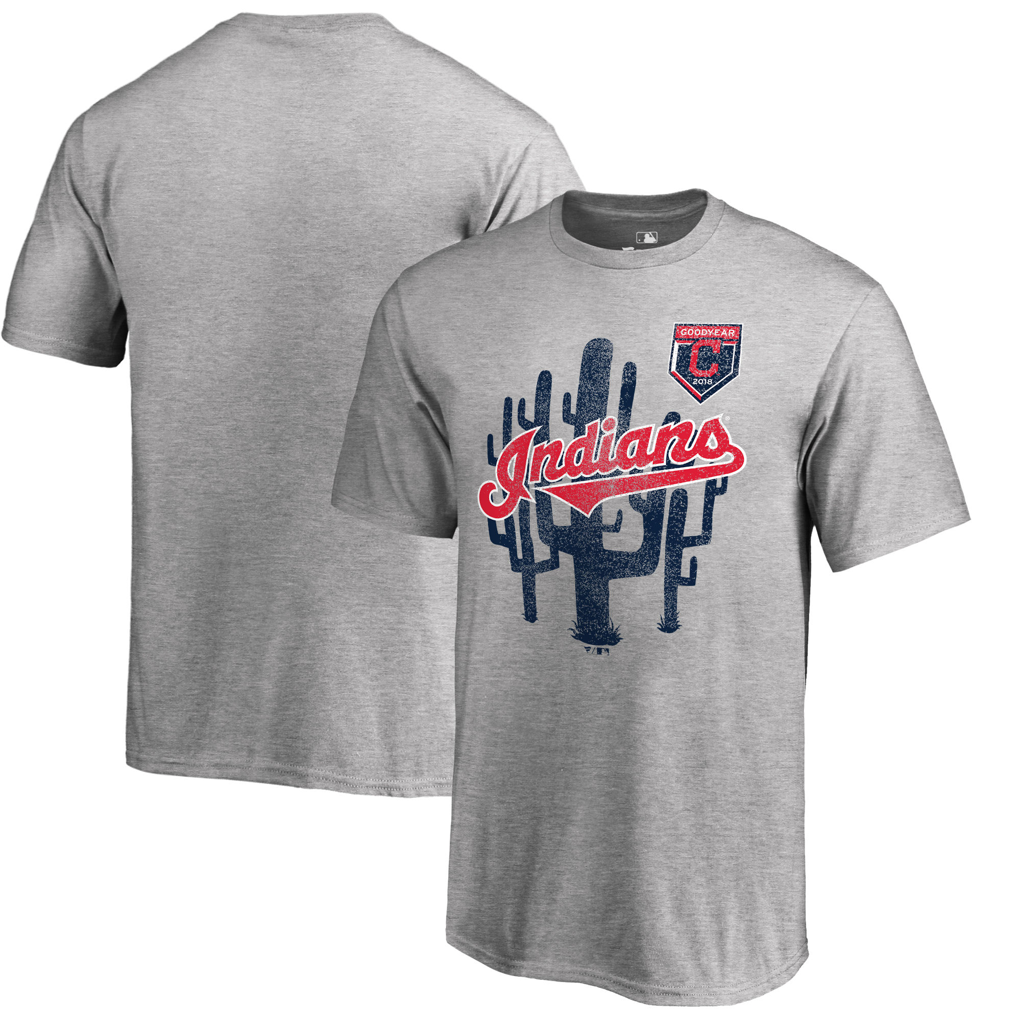 Cleveland Indians Fanatics Branded 2018 MLB Spring Training Vintage T Shirt Heather Gray