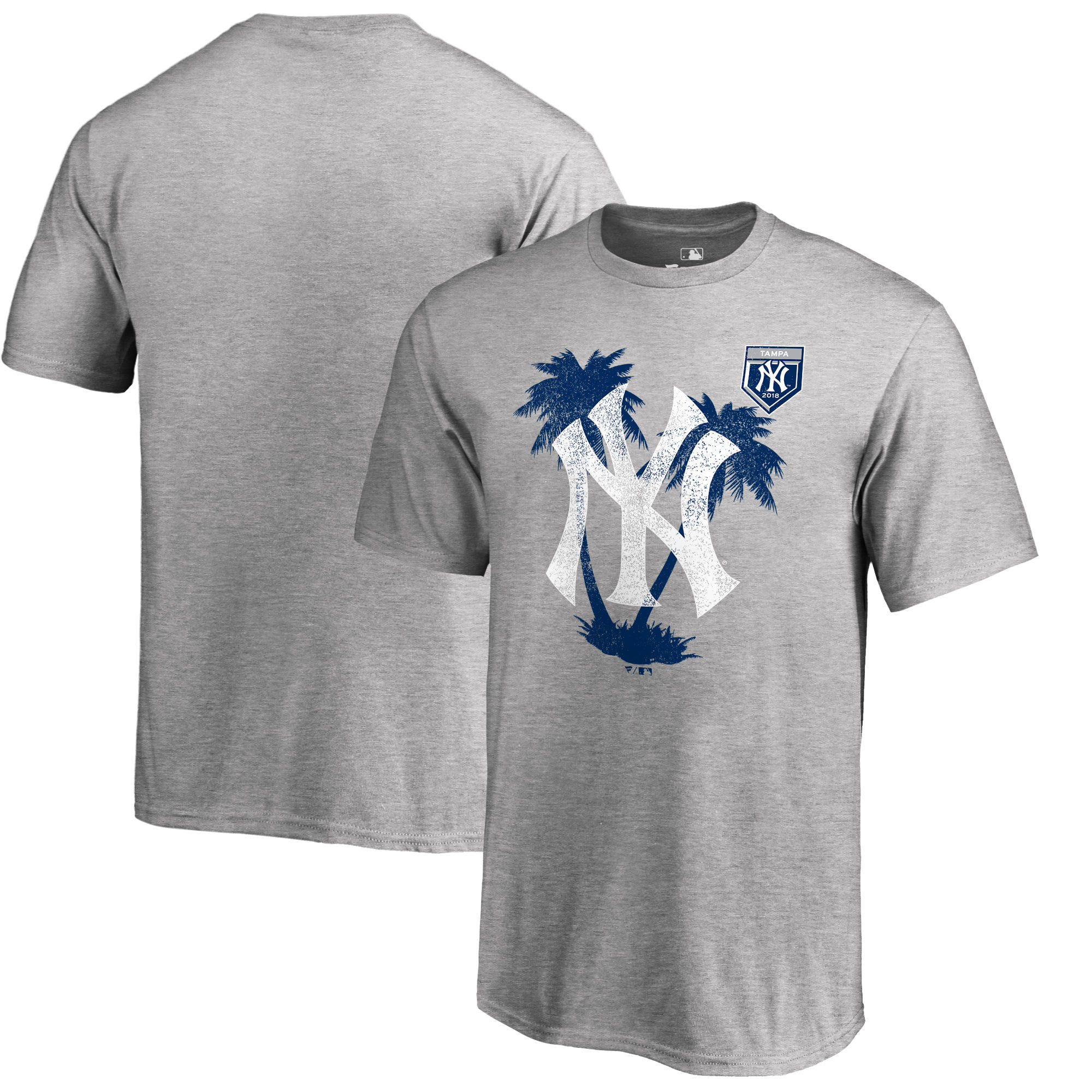 New York Yankees Fanatics Branded 2018 MLB Spring Training Vintage T Shirt Heather Gray