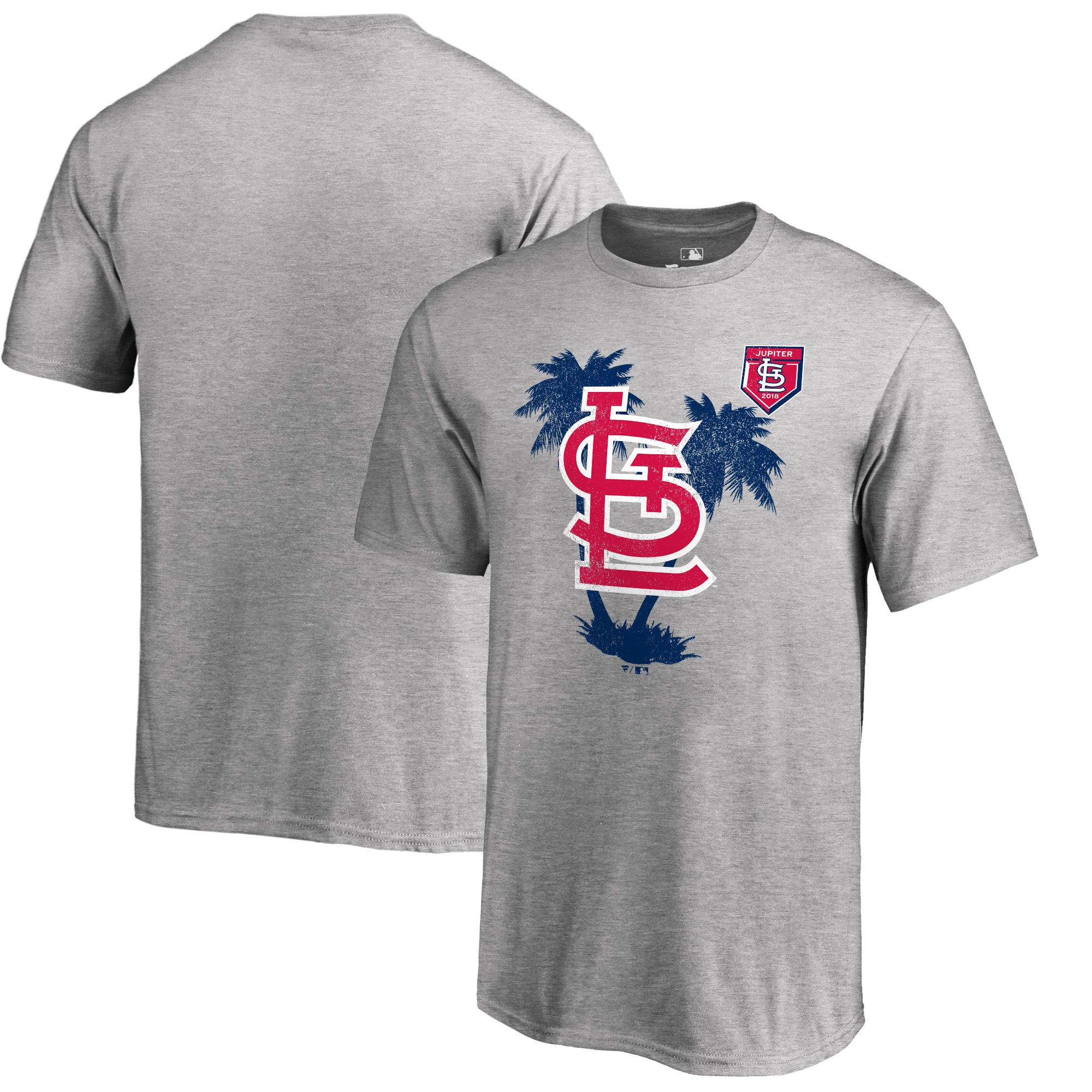 St. Louis Cardinals Fanatics Branded 2018 MLB Spring Training Vintage T Shirt Heather Gray