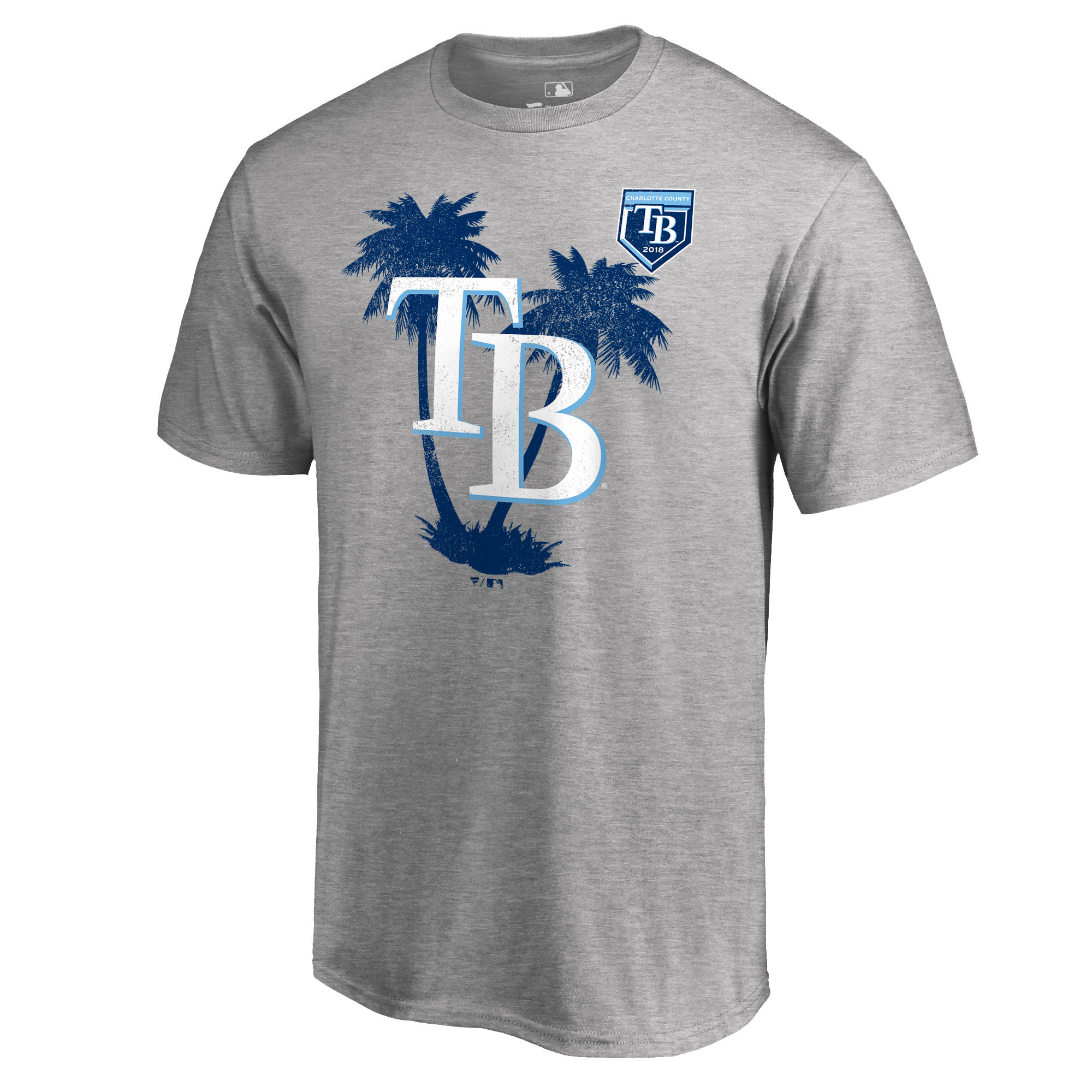 Tampa Bay Rays Fanatics Branded 2018 MLB Spring Training Vintage T Shirt Heather Gray - Click Image to Close