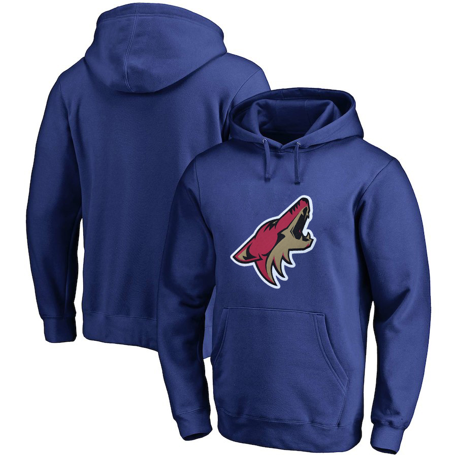 Arizona Coyotes Blue All Stitched Pullover Hoodie