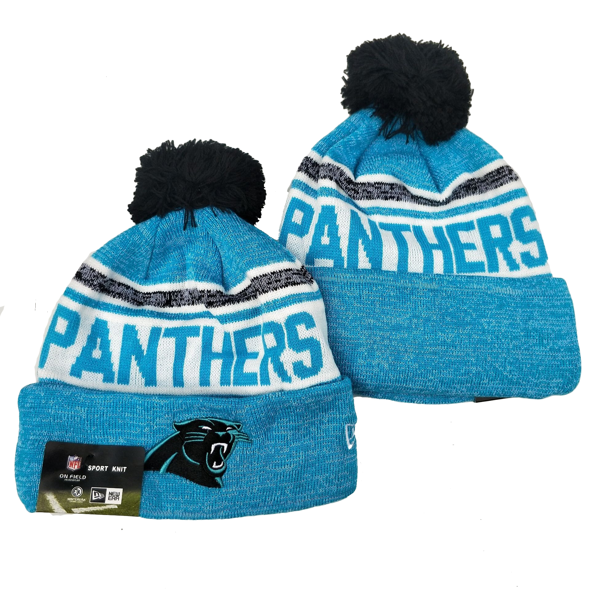 Panthers Team Logo Blue Knit Hat YD