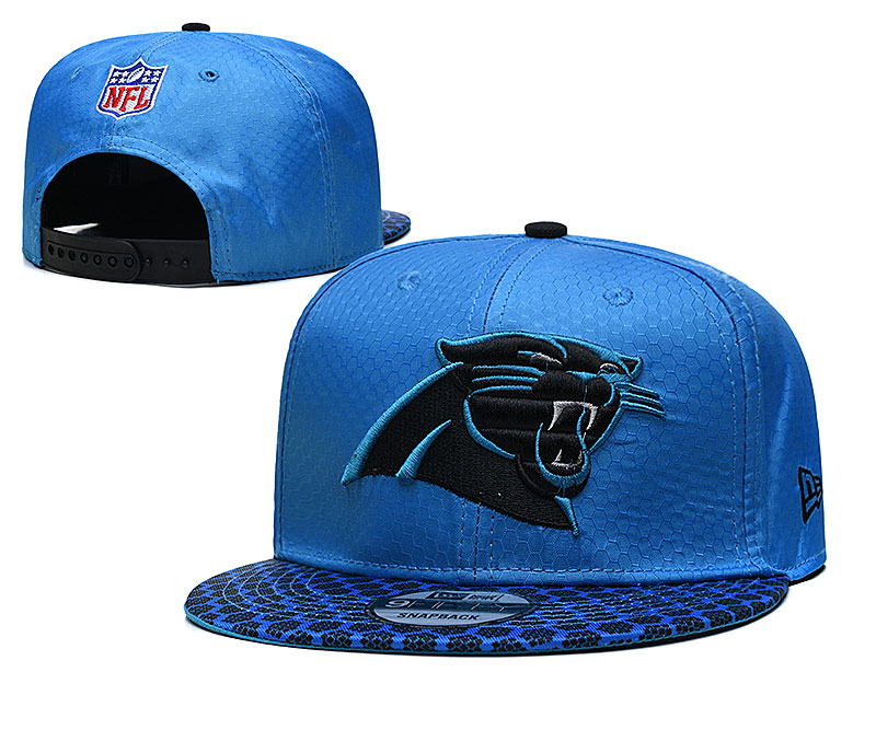 Panthers Team Logo Blue Adjustable Hat TX