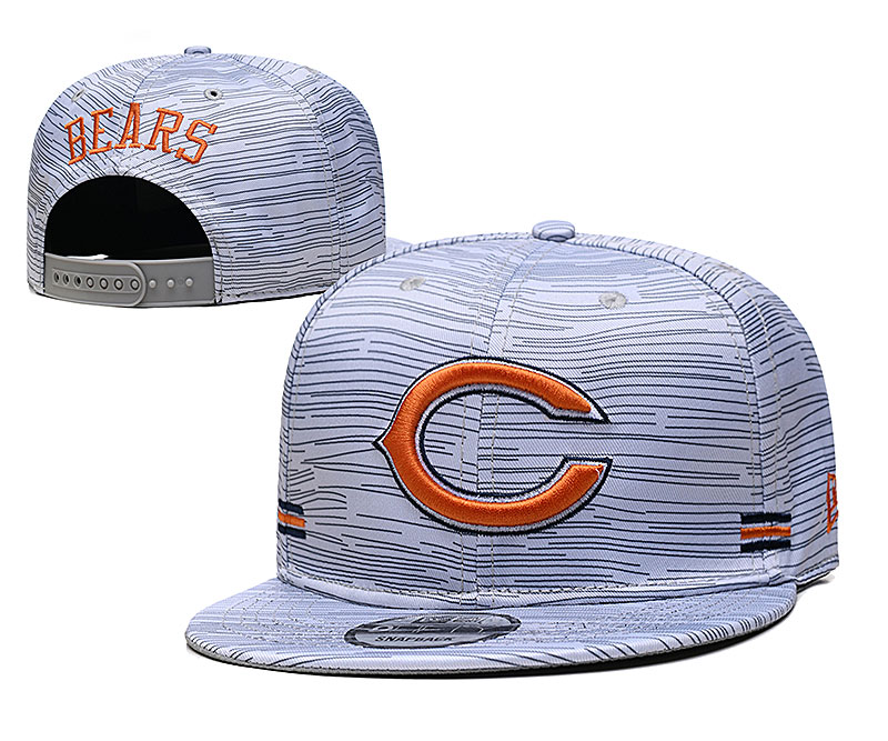 Bears Team Logo New Era Gray 2020 NFL Sideline Adjustable Hat TX
