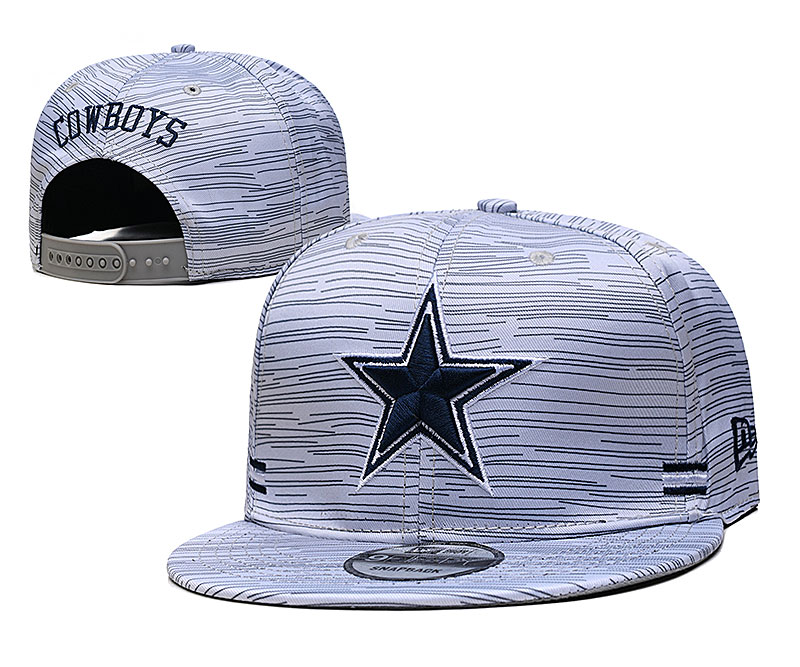 Cowboys Team Logo New Era Gray 2020 NFL Sideline Adjustable Hat TX