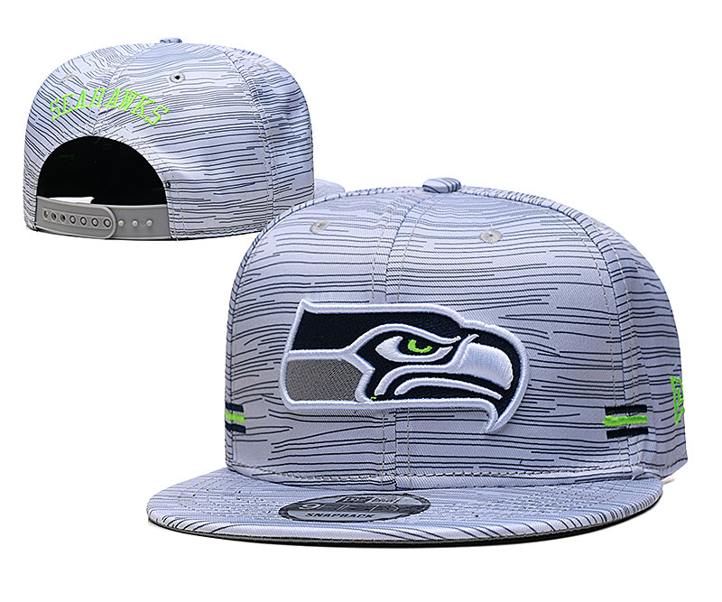 Seahawks Team Logo New Era Gray 2020 NFL Sideline Adjustable Hat TX