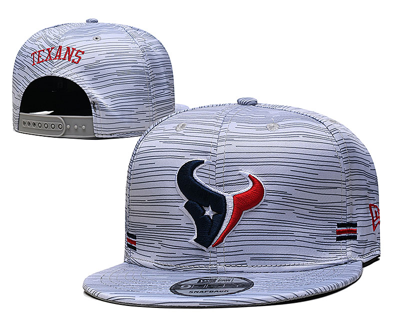 Texans Team Logo New Era Gray 2020 NFL Sideline Adjustable Hat TX