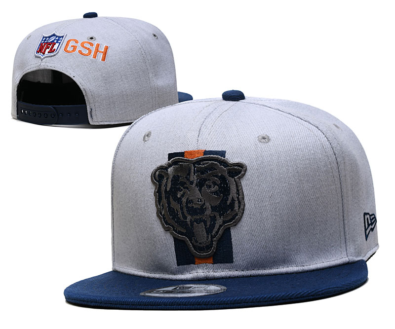 Bears Team Logo Gray Adjustable Hat YD