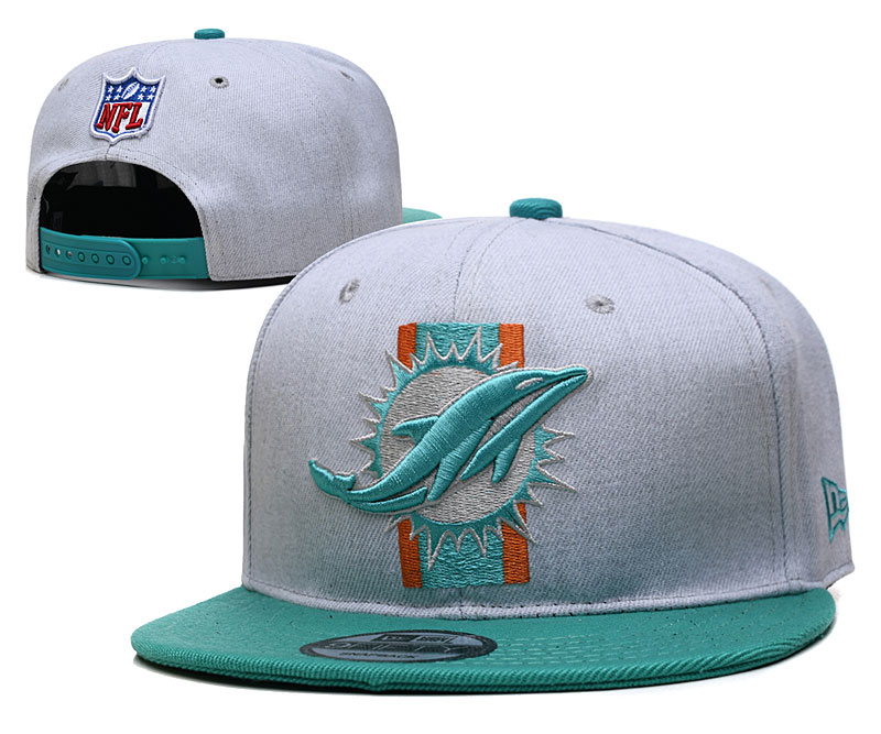 Dolphins Team Logo Gray Adjustable Hat YD