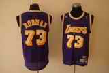 Lakers 73 Dennis Rodman Purple Jerseys