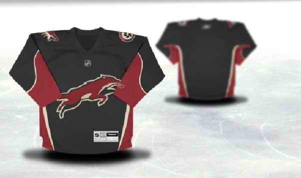 Phoenix Coyotes Youth Customized Black Third Jersey